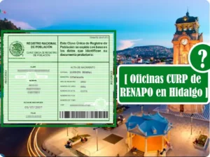 Modulos CURP de RENAPO en Hidalgo